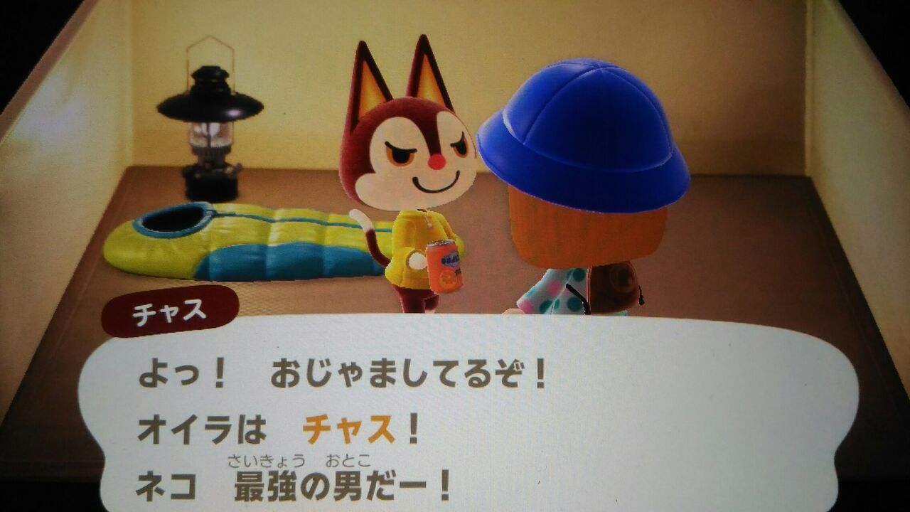 あつ森日記 突然のお別れ 青草 ほしのそうこ あつ森日記 突然のお別れ 青草 ほしのそうこ