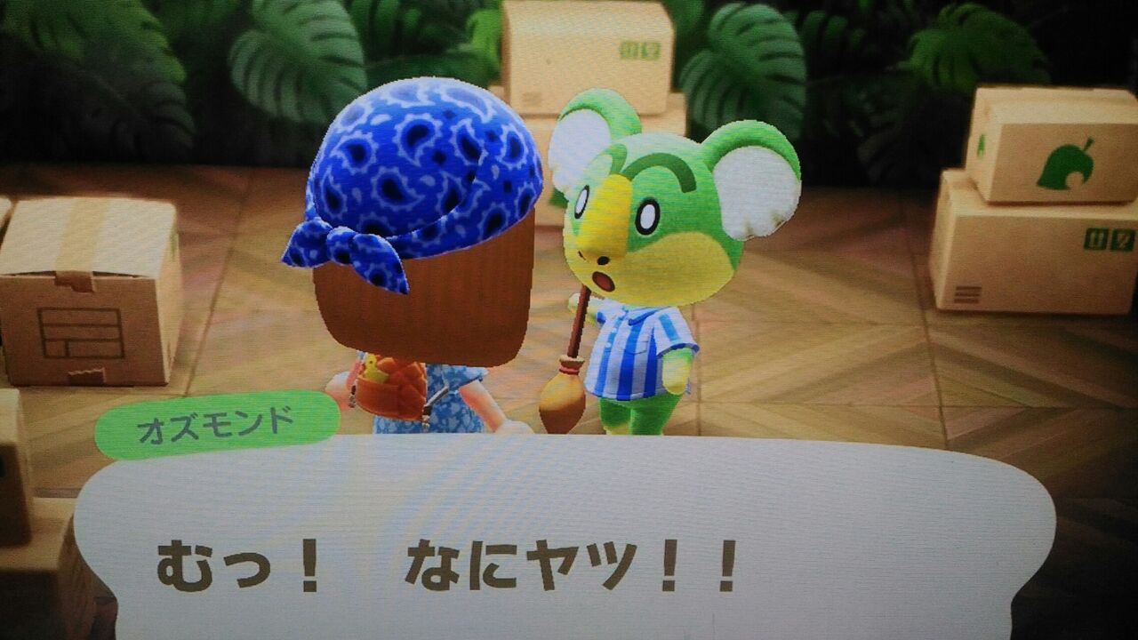 こ 森 ふう あつ