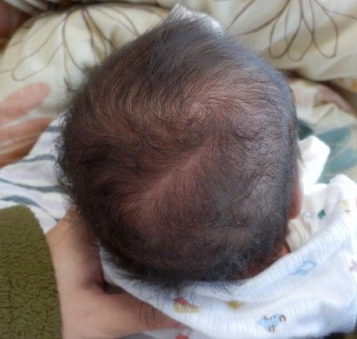 ふたごのどたま 青草 ほしのそうこ ふたごのどたま 青草 ほしのそうこ