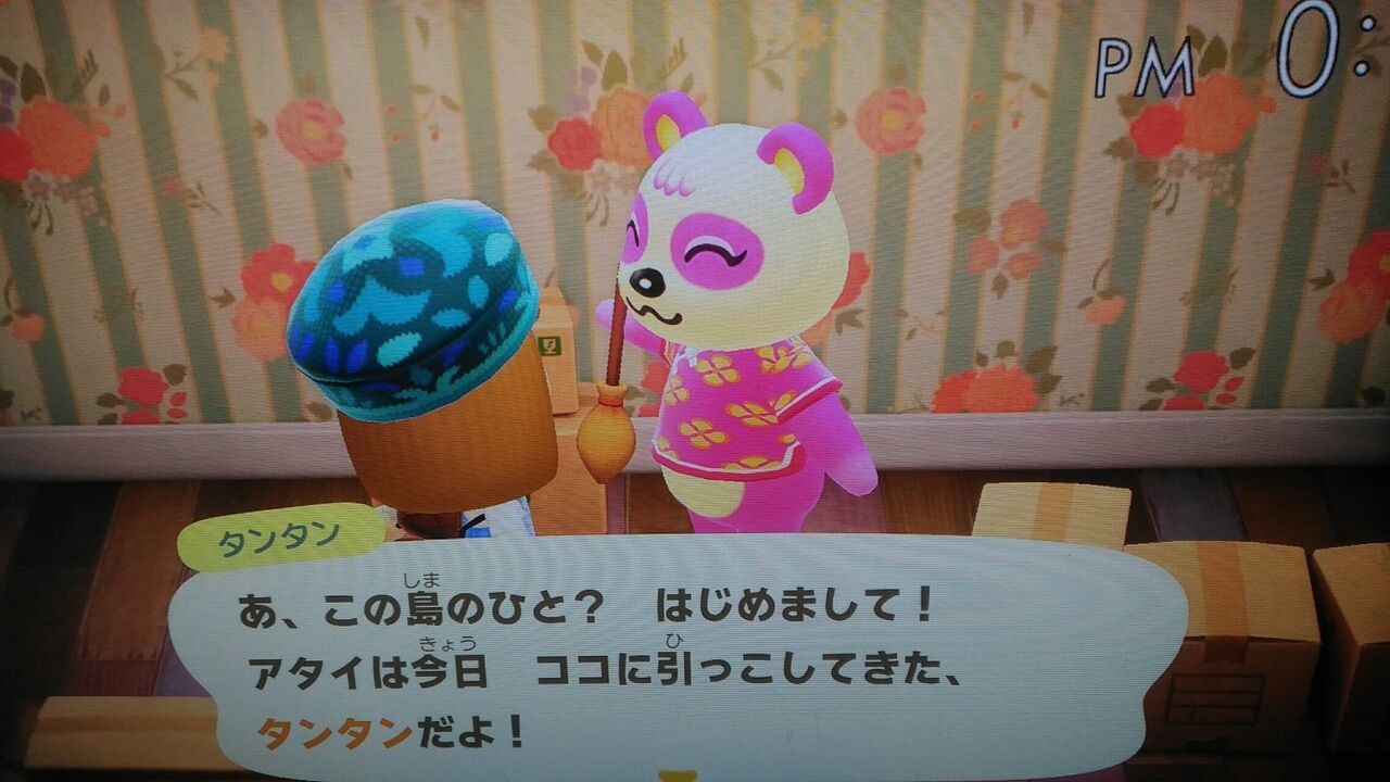 ネタバレ注意 あつ森 ローランさん来た 青草 ほしのそうこ ネタバレ注意 あつ森 ローランさん来た 青草 ほしのそうこ
