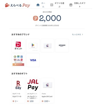 サンワテクノス：えらべるPay 2026年3月権利(8137)
