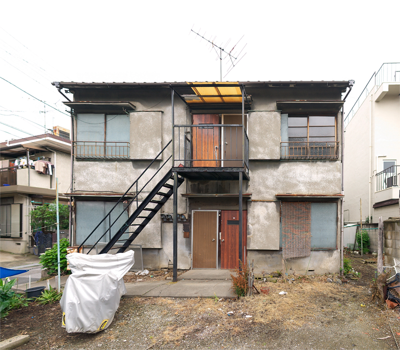 �����㲰����