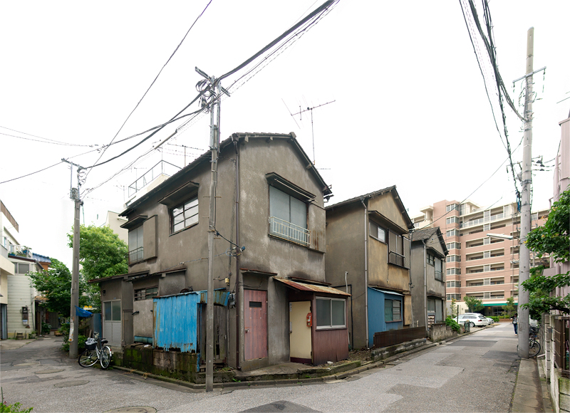 �����㲰03