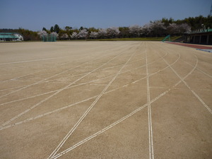 P1020459
