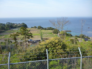 P1020940