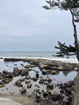 IMG_0936