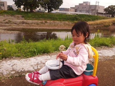 2011-10-22 13.20.11.jpg
