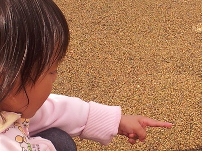 2011-10-22 13.05.09.jpg