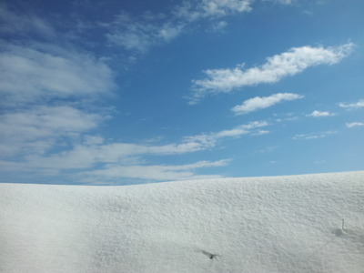 2012-02-19 09.58.57.jpg