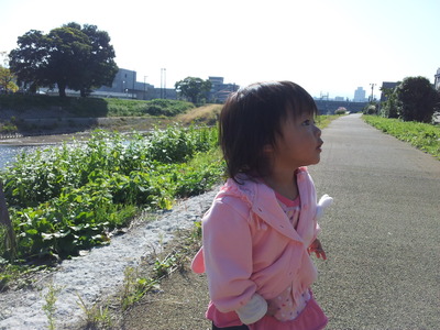 2011-10-20 09.45.14.jpg