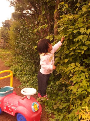 2011-10-22 12.46.37.jpg