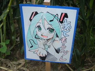 2009_0815ひまわり0016