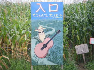 2009_0815ひまわり0009