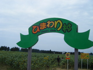 2009_0815ひまわり0001