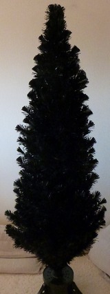 s-P1040954