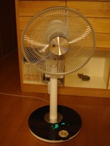 s-DSC06805