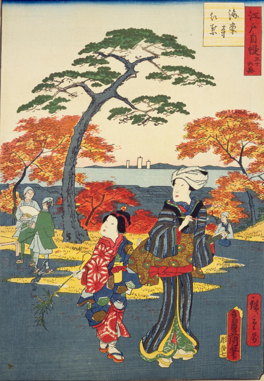 流輝世の江戸時代学習帳