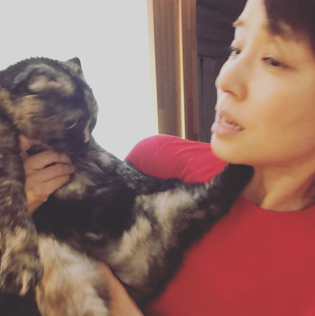 石田ゆり子さん 51 ネコとキスしようとして本気で拒否される 二ちゃんねる速報 石田ゆり子さん 51 ネコとキスしようとして本気で拒否される 二ちゃんねる速報
