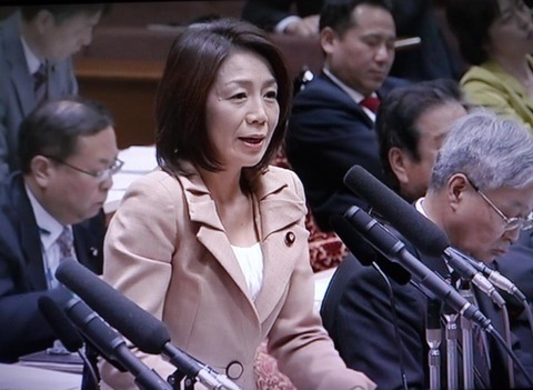 136686848138713126684_5-2