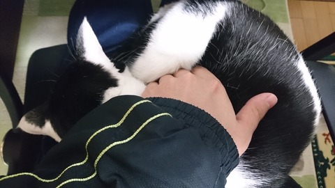 ここに手を入れるとあったけぇんだ
