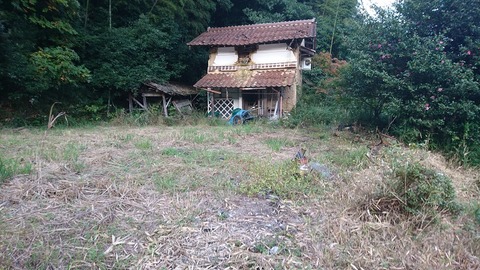 雑草が再び生え始める空き地