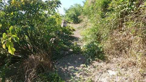 行き来がし易くなった坂道