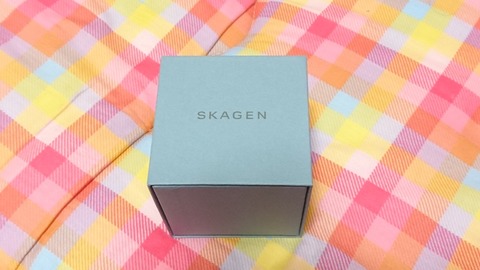 スカーゲンの腕時計①
