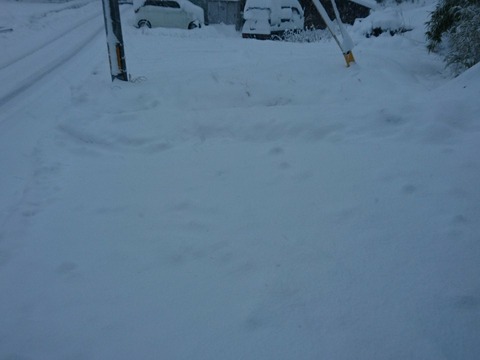 一晩で積もる雪