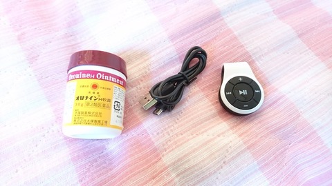 大きさ比較①