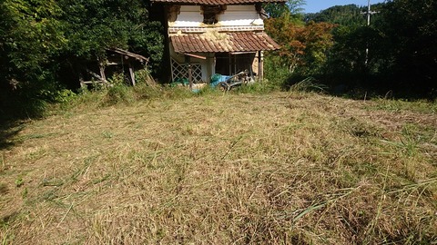 まだまだ荒れている空き地