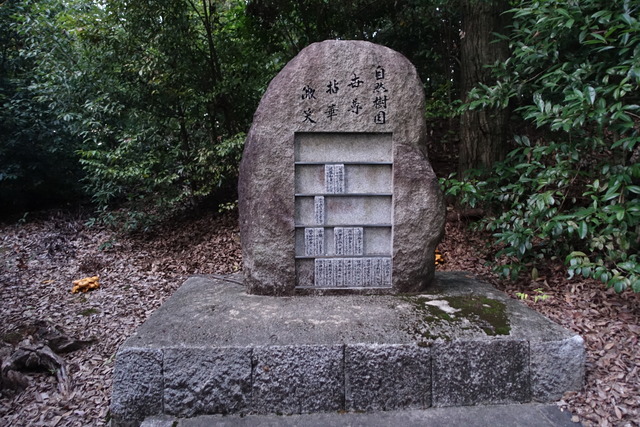 キノコ　自然樹園　モッコリ (1)