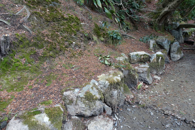 池の東　落葉履きアフター