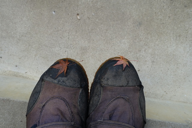 飾り　和尚の掃除の靴先 (1)