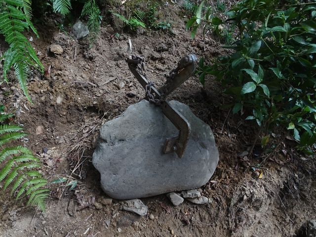 離れ裏　U字溝　石積241001 (1)