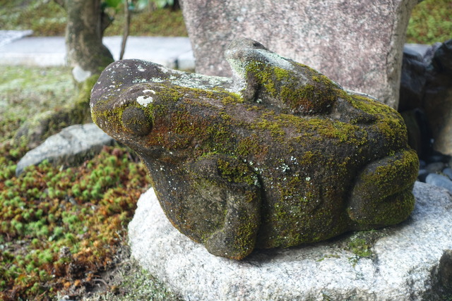 蛙の兄弟　庭 (5)