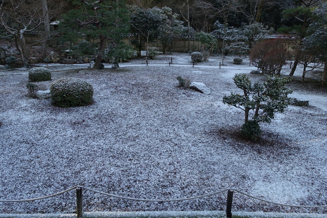 薄雪　庭 (7)