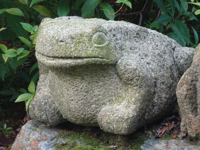 蛙の兄弟　庭 １(1)