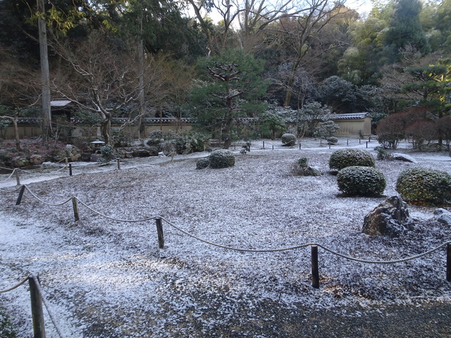薄雪　庭 (20)