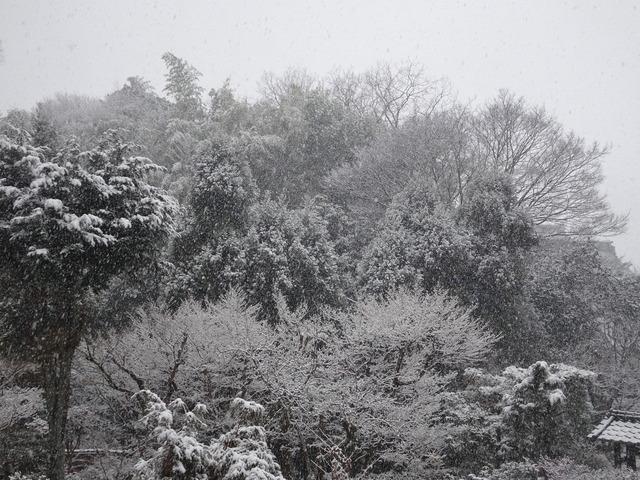 雪　庭　２階から (4)
