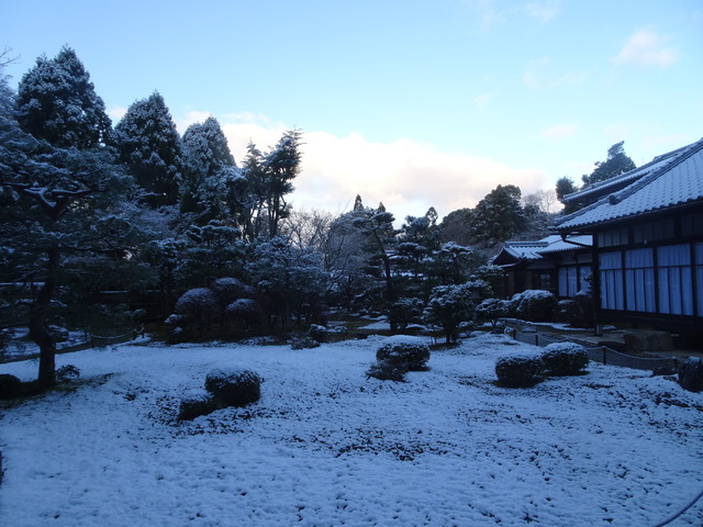 211231雪景色庭 (27)