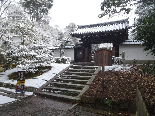 雪　三門附近 (4)