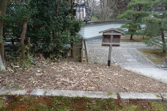 三門笹掃除　ビフォーアフター２ (1)