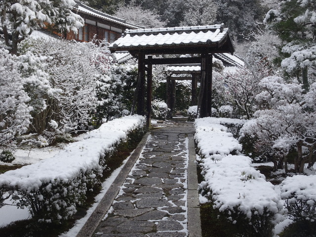 雪　三門附近 (1)