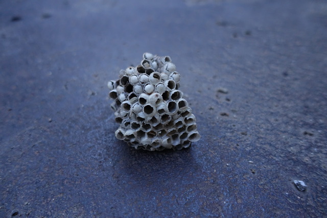 巣　足長鉢掃除道具入れ (5)