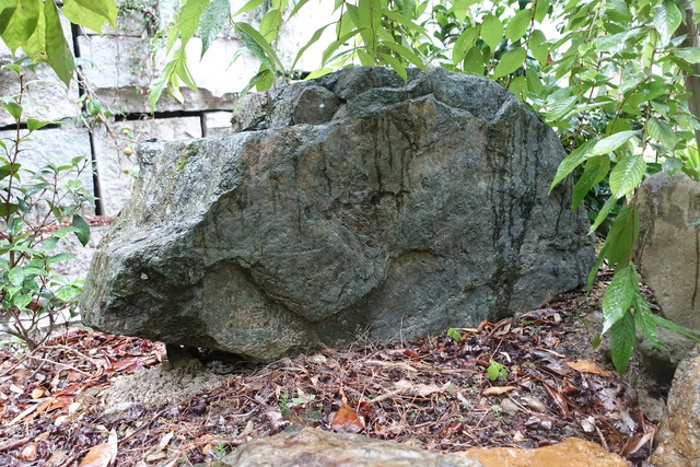 蛙　日本庭園 (3)