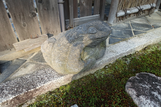 蛙の兄弟　庭 (1)