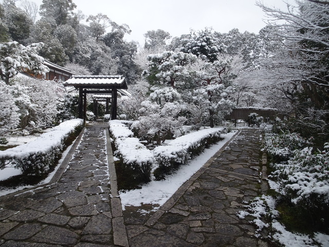 雪　三門附近 (2)