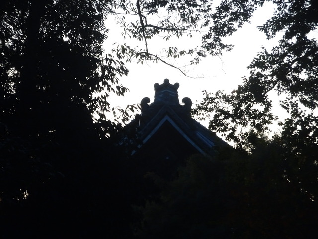 夕方のお化け　方丈の屋根瓦 (2)