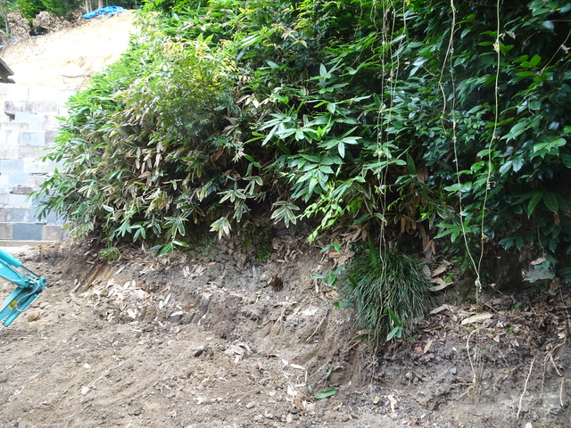 裏庭整地 2408 (2)