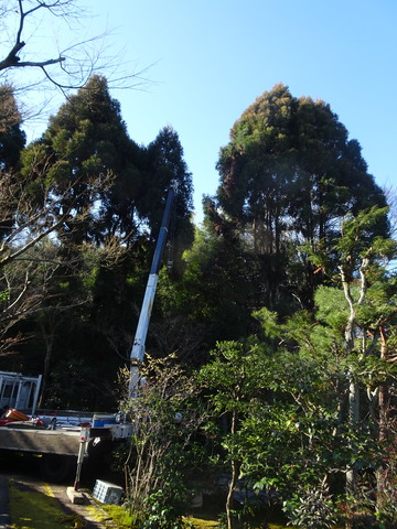 山門南東杉伐採工事 (40)あふたークレーン